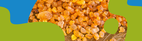 Frankincense Essential Oil: Benefits, Uses & Properties