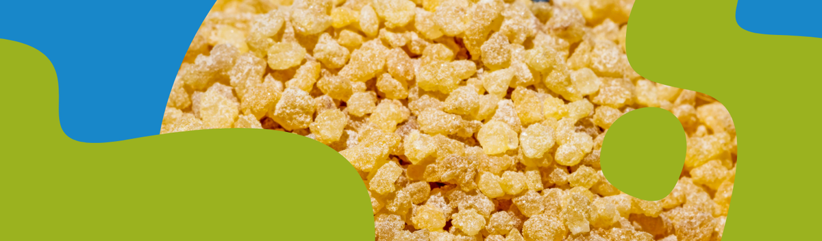 Boswellia Serrata: Properties, Uses & Safety Guide