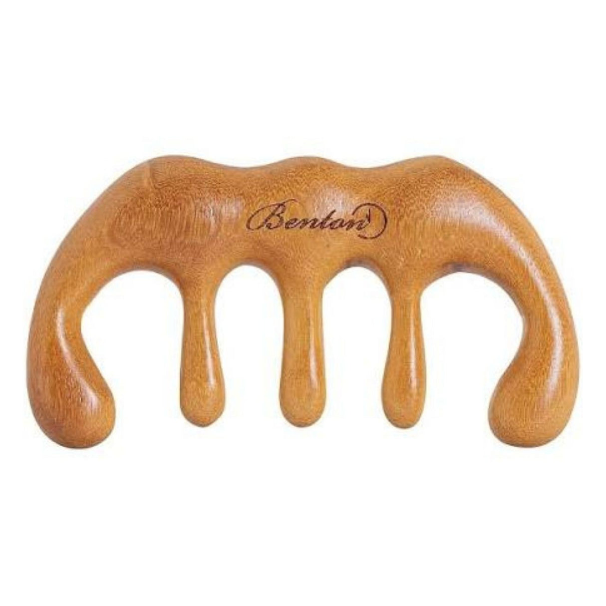 Benton Kopfhautbürsten-Massagegerät – 1 Stück